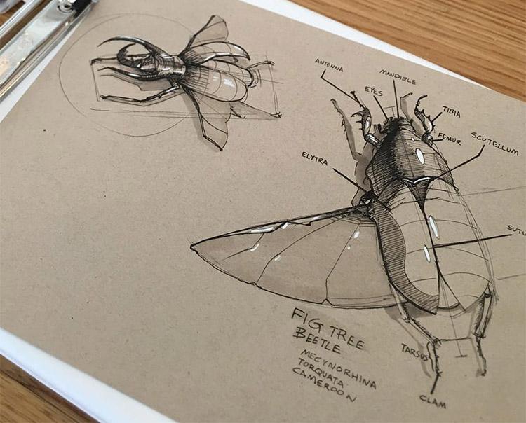 dynamic sketching forms