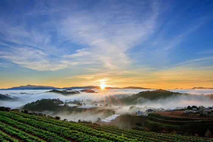 Mùa thu Đà Lạt có gì lại khiến người ta mê đến vậy