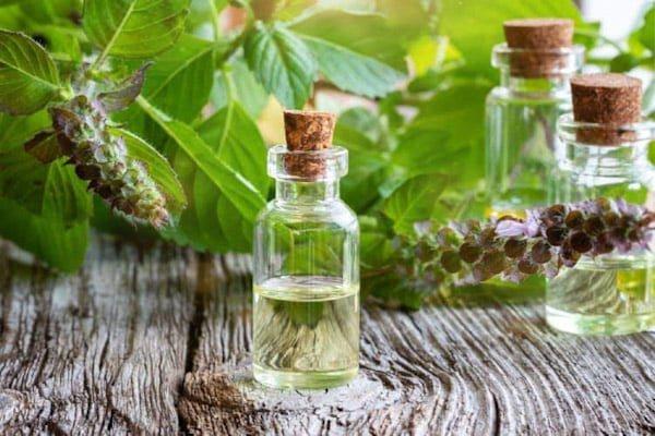 Tinh dầu Frankincense là gì?