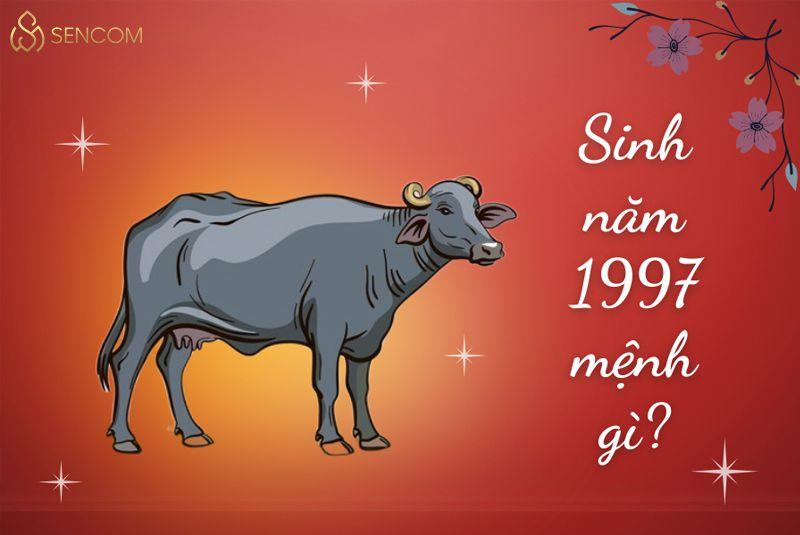 Sinh năm 1997 mệnh gì , tuổi gì, hợp với những mệnh nào, tử vi ra sao,... Đây đều là những thắc mắc chung của rất nhiều người với mong muốn cuộc sống gặp...