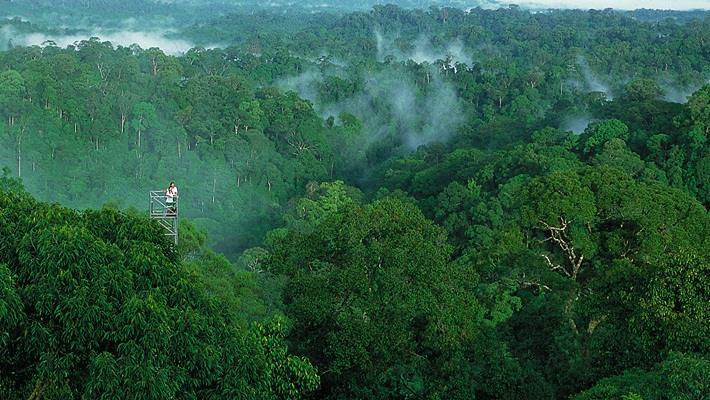 Brunei - Vương quốc bí ẩn