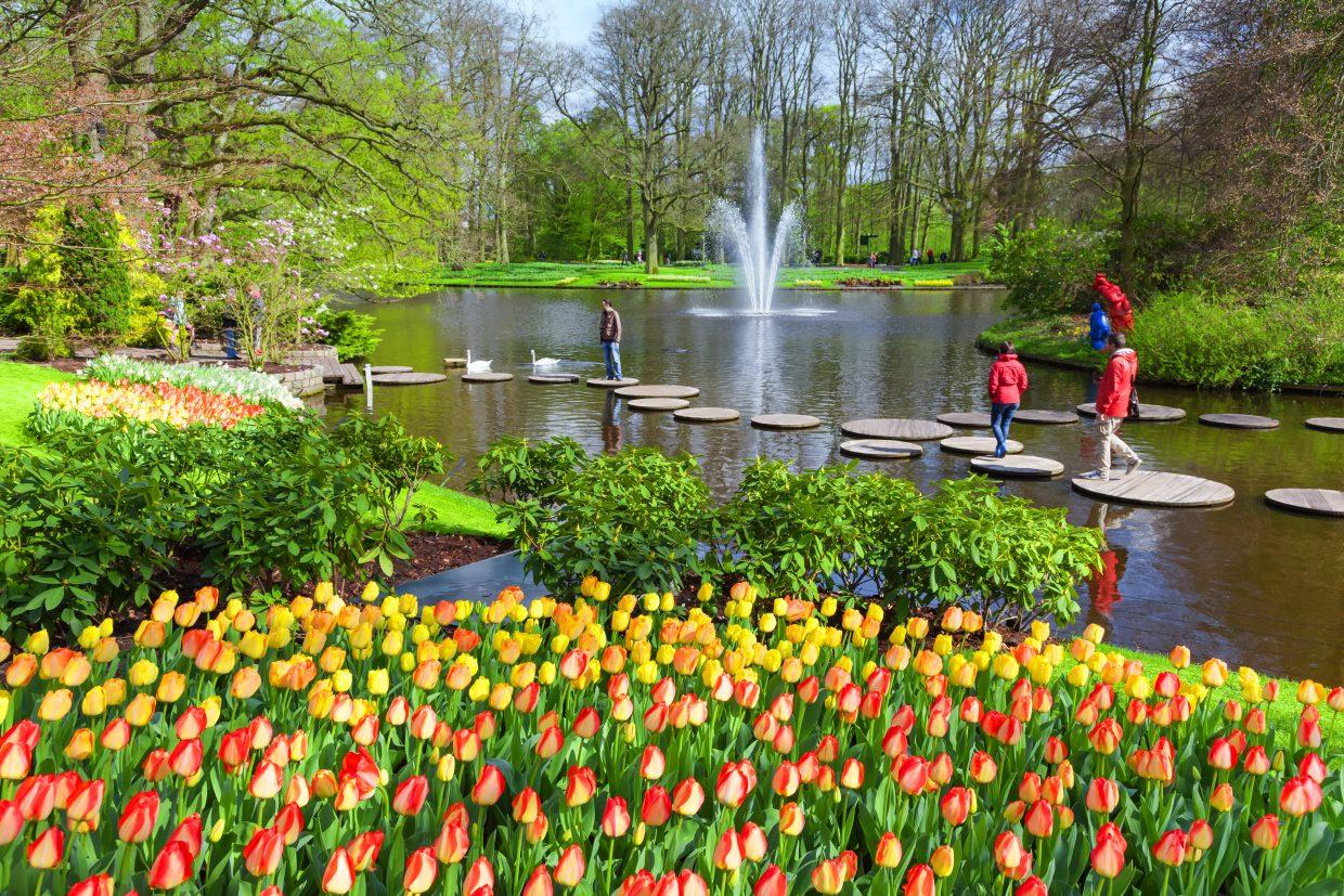 Keukenhof Gardens Amsterdam Holland