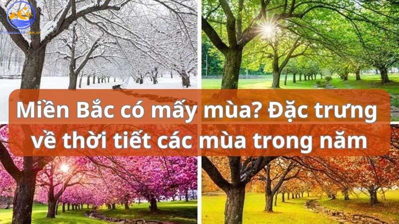 Miền Bắc có mấy mùa? Sự phân hóa khí hậu tại miền Bắc